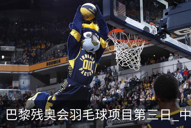 巴黎残奥会羽毛球项目第三日 中国队取得13胜3负